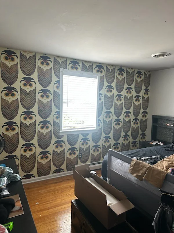 Wallpaper installation Kirkwood example 3